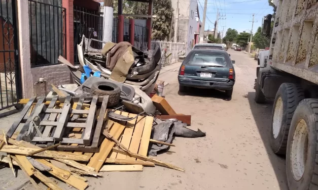 AYUNTAMIENTO LLEGA A LAS SINDICATURAS CON LA CAMPAÑA DE DESCACHARRIZACIÓN