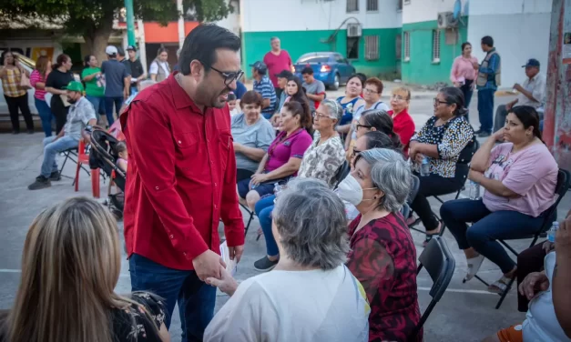 FRACCIONAMIENTO INFONAVIT LAS FLORES