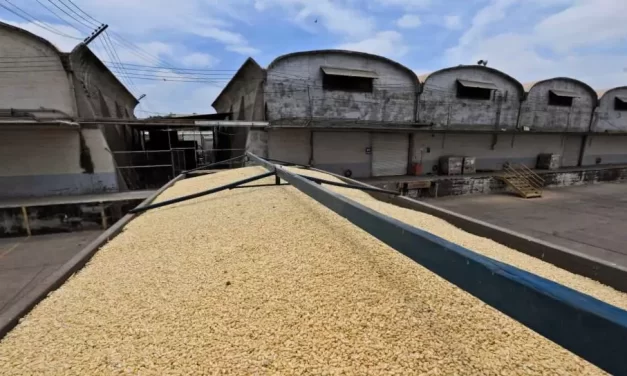 EMPIEZA EL RETIRO DE LA COSECHA DE MAÍZ DE LAS BODEGAS