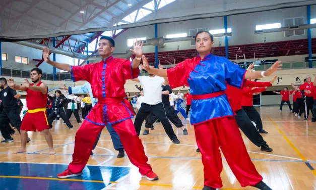 REALIZAN CLASE MAGNA DE TAIJIQUAN