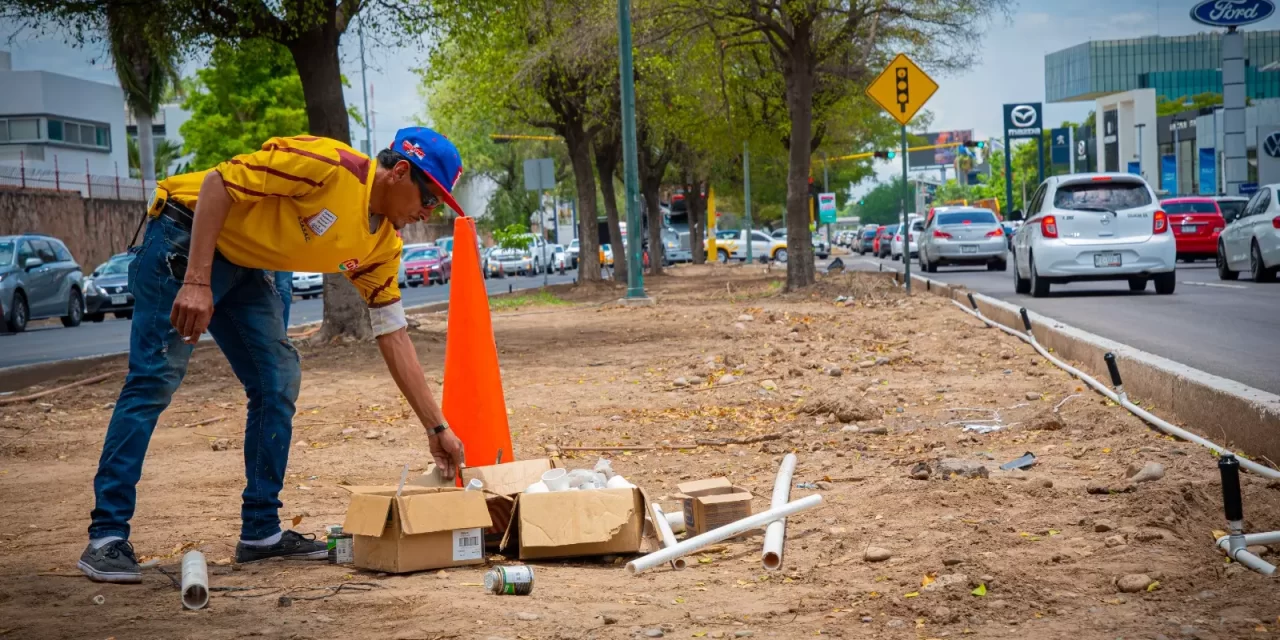 REGISTRA 60 POR CIENTO INSTALACIÓN DE TUBERÍA PVC EN SISTEMA DE RIEGO POR ASPERSIÓN