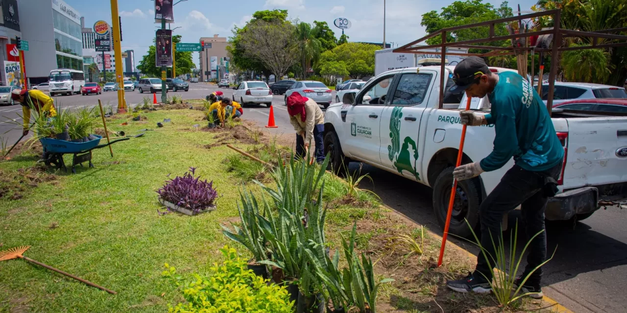 ACCIONES DE LIMPIEZA Y MANTENIMIENTO ARRIBARON AL SECTOR TRES RÍOS