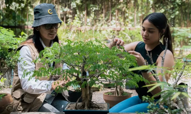 APRENDE EL ARTE BONSÁI EN JARDÍN BOTÁNICO CULIACÁN