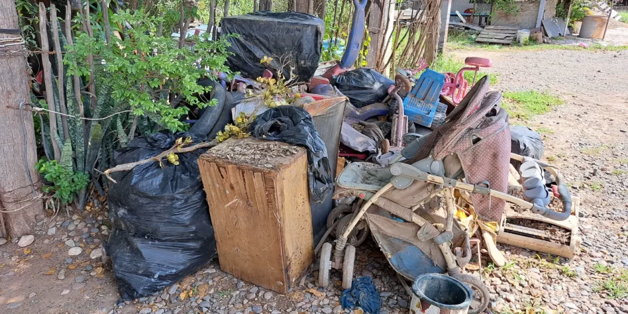 AYUNTAMIENTO REALIZA EXITOSA JORNADA DE DESCACHARRIZACIÓN EN LA COMUNIDAD DE LAS FLORES