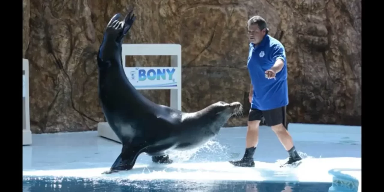 TOMÁS RAMÍREZ RAMÍREZ, DEJA UNA ENORME HUELLA EN EL GRAN ACUARIO MAZATLÁN MAR DE CORTÉS