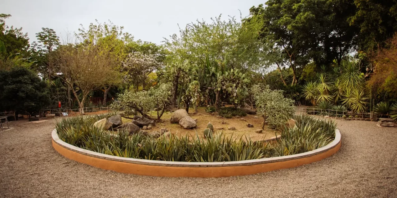 DESCUBRE EN JARDÍN BOTÁNICO CULIACÁN EL PATRIMONIO BIOCULTURAL DE LAS ZONAS ÁRIDAS