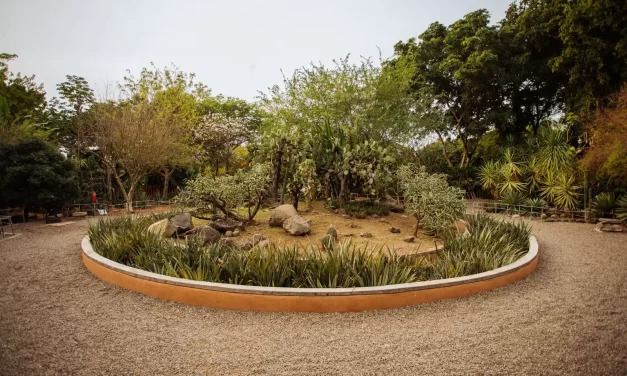 DESCUBRE EN JARDÍN BOTÁNICO CULIACÁN EL PATRIMONIO BIOCULTURAL DE LAS ZONAS ÁRIDAS