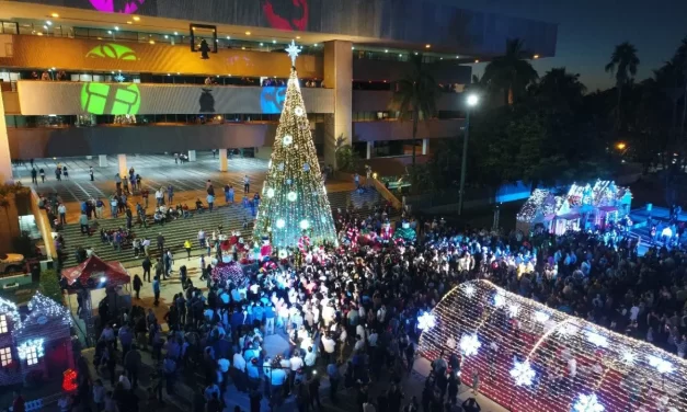 ¡ENCENDIDO DEL ÁRBOL NAVIDEÑO!