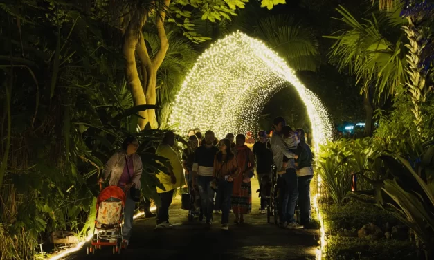 LA MAGIA DE LA NAVIDAD LLEGÓ A JARDÍN BOTÁNICO CULIACÁN