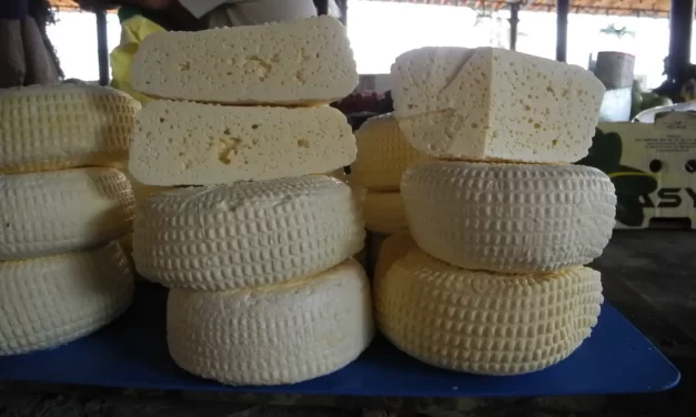 PRIMER FESTIVAL DEL QUESO ARTESANAL EN LA HIGUERITA DE AMATÁN