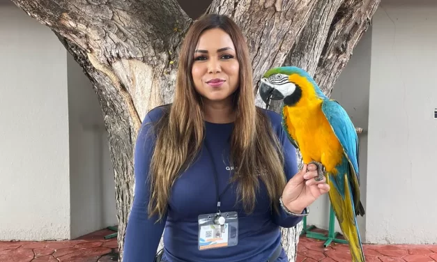 MÁS DE 300 EJEMPLARES NO ACUÁTICOS HABITAN EL GRAN ACUARIO MAR DE CORTÉS