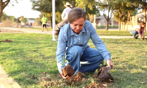 SIEMBRAN MÁS ARBOLITOS EN COMUNIDADES DE ELOTA