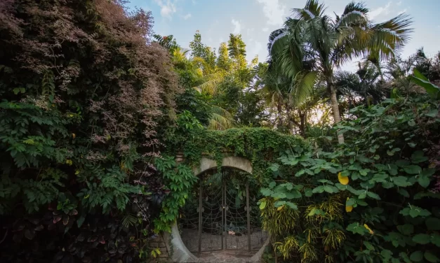 JARDÍN BOTÁNICO CULIACÁN, PROTEGIENDO LA BIODIVERSIDAD VEGETAL