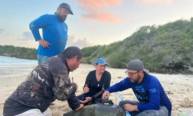 SE SUMARÁ SUCEDE A CAMPAÑAS DE SALUD PÚBLICA PARA LA CONSERVACIÓN DE LAS TORTUGAS MARINAS