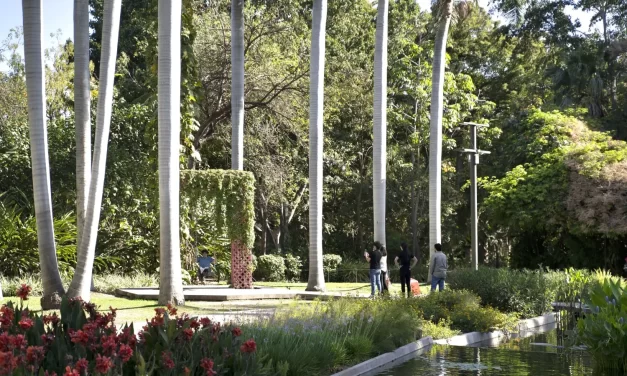 TODO UN ÉXITO EL DÍA VERDE DE BIOELEMENTS Y JARDÍN BOTÁNICO CULIACÁN