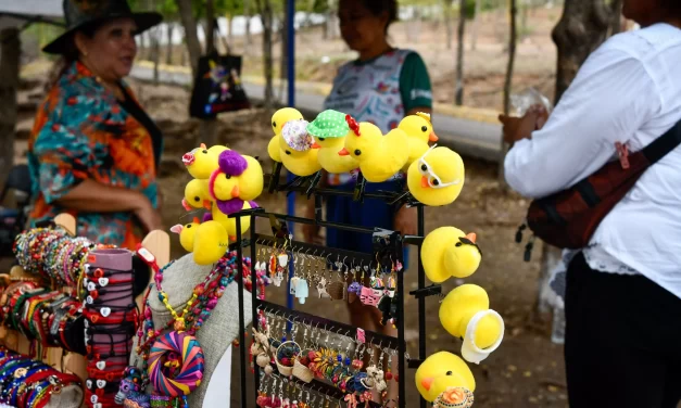 EXPO TEJIENDO SUEÑOS SE REALIZA POR PRIMERA VEZ EN EL PARQUE CULIACÁN 87