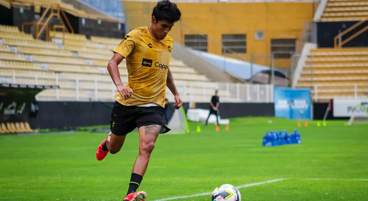 FERNANDO GONZÁLEZ, DE TIGRES A DORADOS