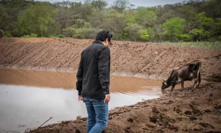 ¡APOYO A GANADEROS!