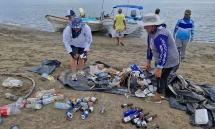 SUCEDE Y VOLUNTARIOS RETIRAN MEDIA TONELADA DE BASURA DE LA ISLA ALTAMURA EN LA BAHÍA SANTA MARÍA