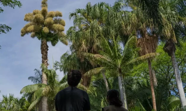 AGOSTO ES PARA DISFRUTAR Y CONECTAR CON LA NATURALEZA EN JARDÍN BOTÁNICO CULIACÁN