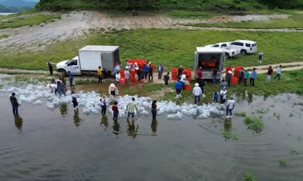 EL PRÓXIMO VIERNES INICIARÁ LA SIEMBRA DE ALEVINES EN LAS PRESAS Y DIQUES DE SINALOA