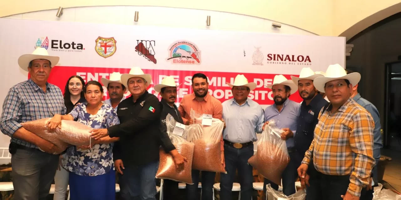 ENTREGAN SEMILLA DE SORGO DOBLE PROPÓSITO A GANADEROS DEL MUNICIPIO DE ELOTA