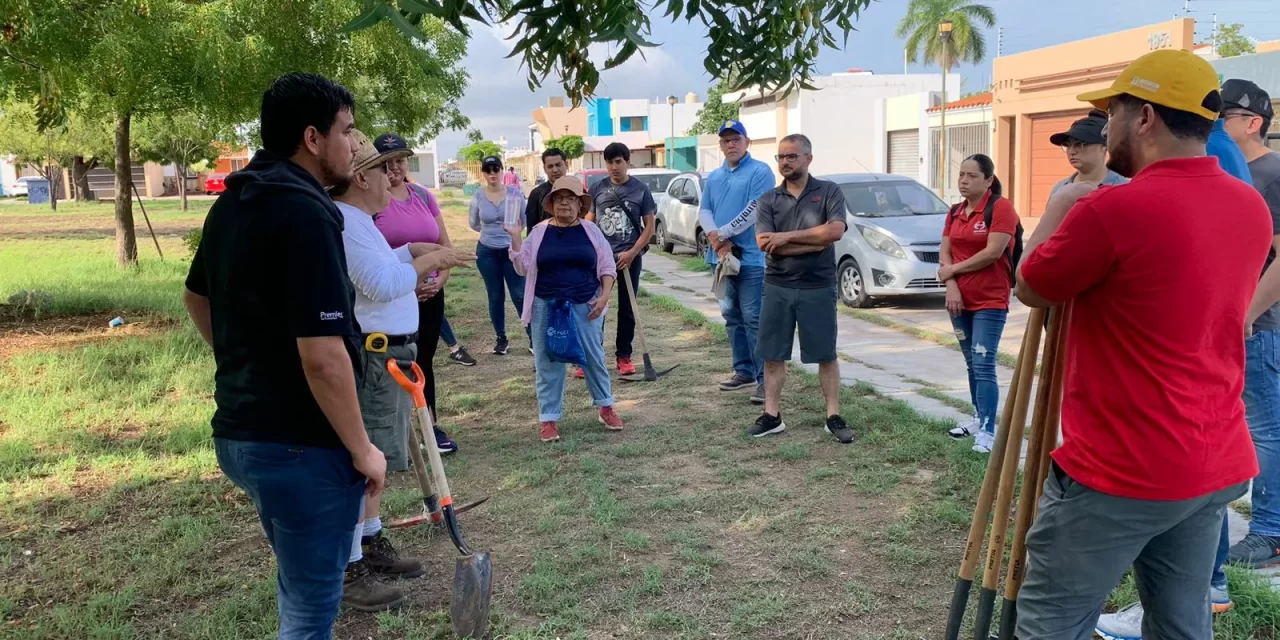 PARQUES ALEGRES Y VOLUNTARIOS PLANTAN 220 ÁRBOLES