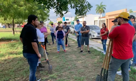 PARQUES ALEGRES Y VOLUNTARIOS PLANTAN 220 ÁRBOLES