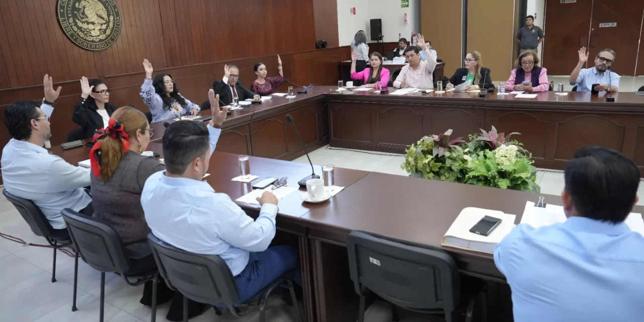 ARMONIZAN COMISIONES UNIDAS DOS LEYES CON LEY GENERAL DE MOVILIDAD Y SEGURIDAD VIAL