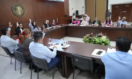 ARMONIZAN COMISIONES UNIDAS DOS LEYES CON LEY GENERAL DE MOVILIDAD Y SEGURIDAD VIAL