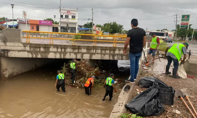 AYUNTAMIENTO MANTIENE OPERATIVOS PERMANENTES DE LIMPIEZA Y ATENCIÓN A REPORTES