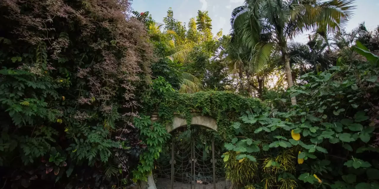 INSPIRANDO A LA COMUNIDAD DESDE EL JARDÍN BOTÁNICO DE CULIACÁN