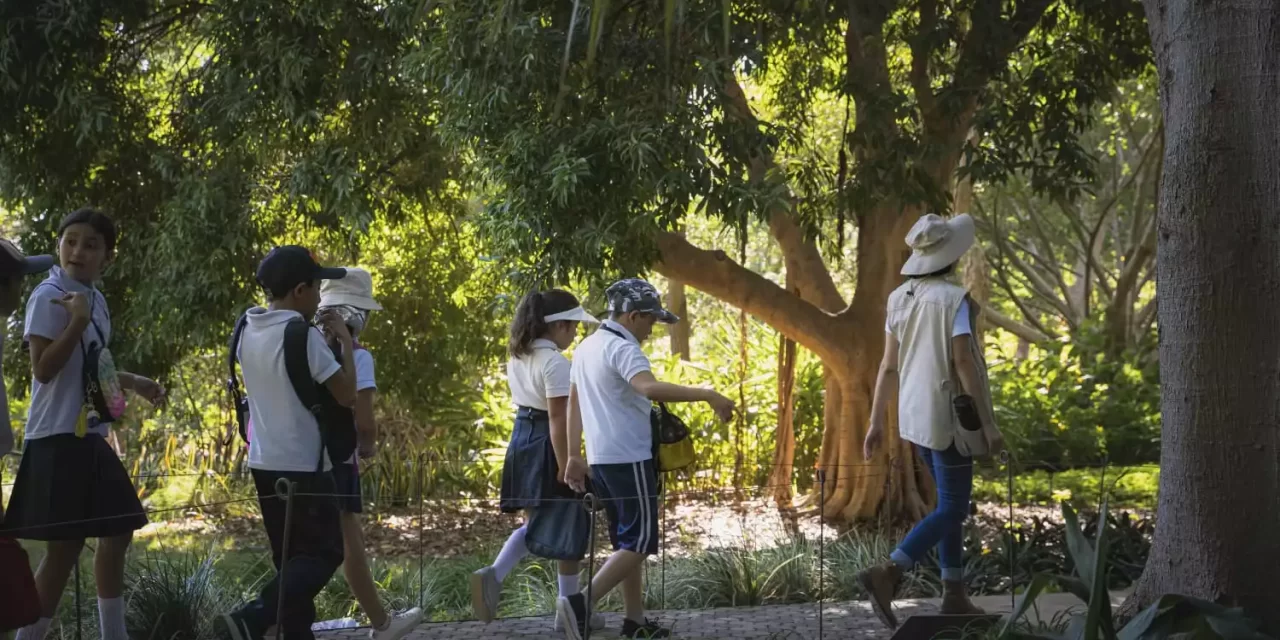 INVITAN A DONAR PARA PROMOVER LA EDUCACIÓN AMBIENTAL A TRAVÉS DEL VIAJE BOTÁNICO