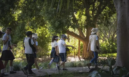 INVITAN A DONAR PARA PROMOVER LA EDUCACIÓN AMBIENTAL A TRAVÉS DEL VIAJE BOTÁNICO