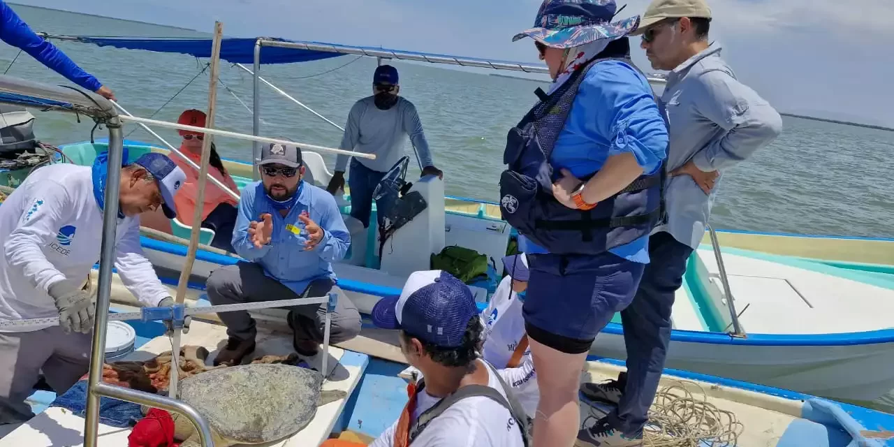 PESCADORES Y PESCADORAS DE LA REFORMA PARTICIPAN EN LA CONSERVACIÓN INTELIGENTE CON EL MONITOREO DE LA TORTUGA MARINA