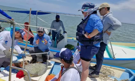 PESCADORES Y PESCADORAS DE LA REFORMA PARTICIPAN EN LA CONSERVACIÓN INTELIGENTE CON EL MONITOREO DE LA TORTUGA MARINA