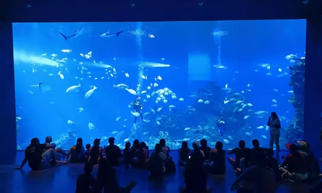 TURISTAS DE GUADALAJARA RECOMIENDAN EL GRAN ACUARIO MAZATLÁN