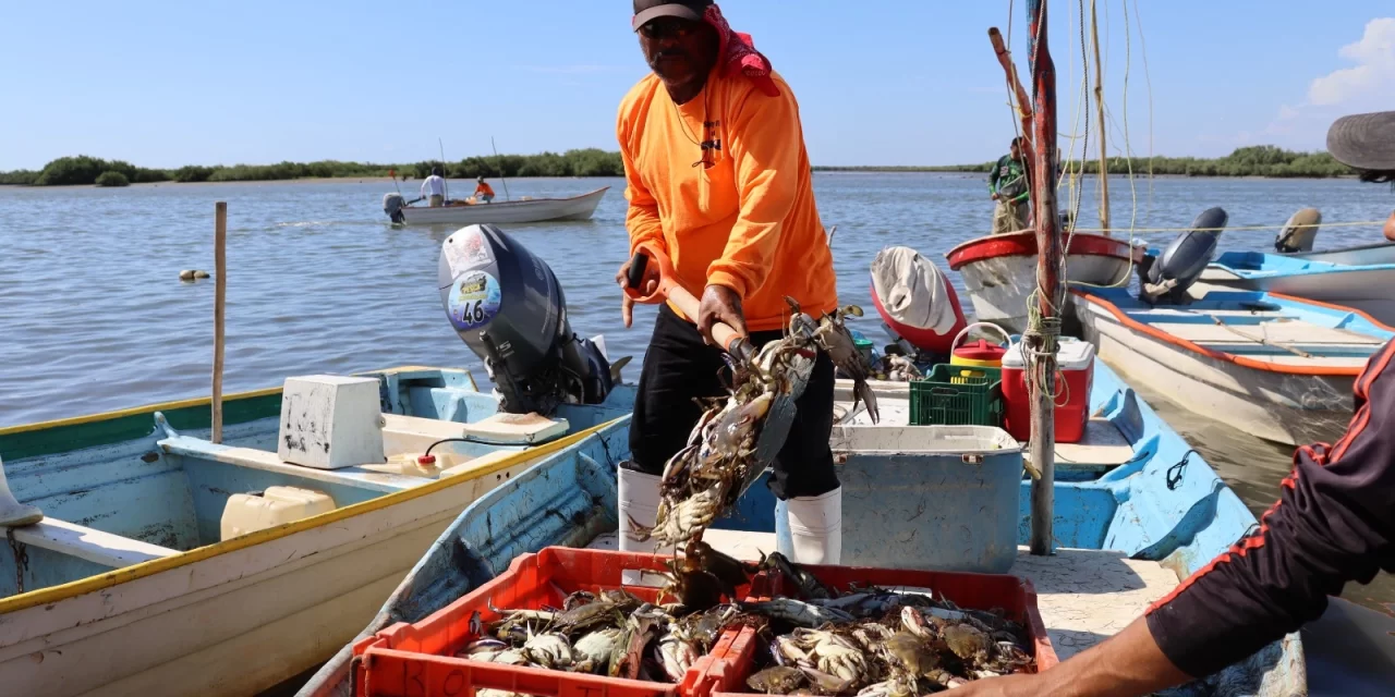 ANUNCIA SECRETARÍA DE PESCA Y ACUACULTURA NUEVO CENSO PESQUERO PARA EL PADRÓN DEL BIENPESCA