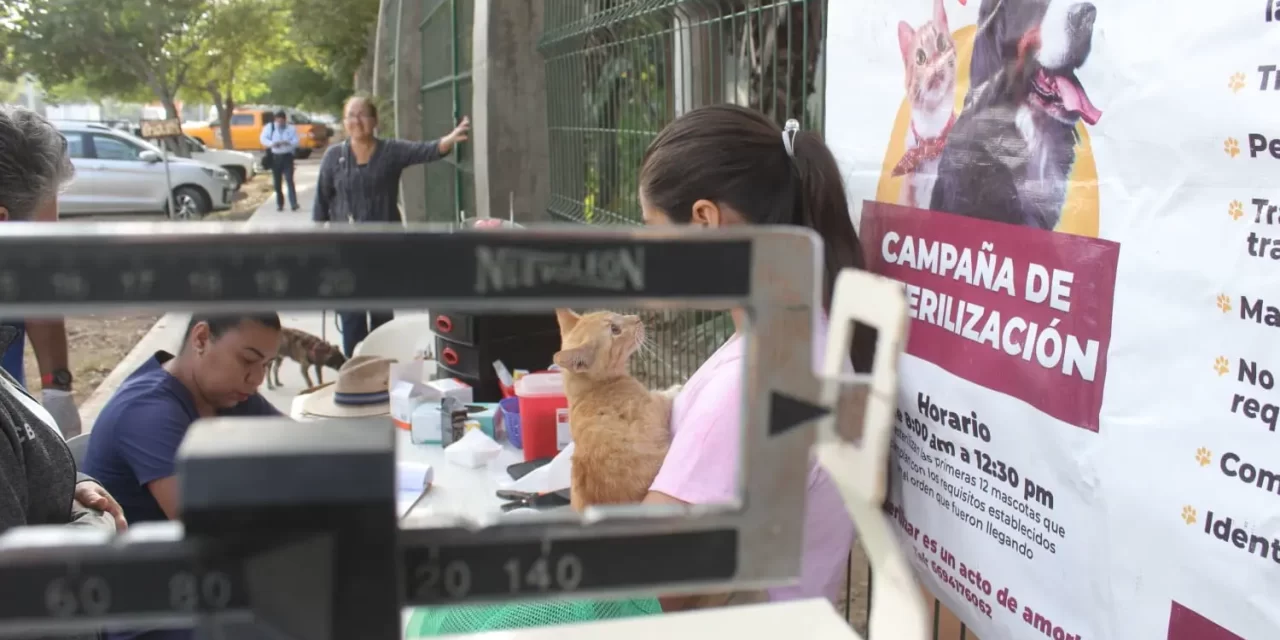 CONTINÚA EL CAMIONCITO ESTERILIZADOR EN LA ZONA RURAL ¡LLEGARÁ A EL QUELITE Y LA NORIA!