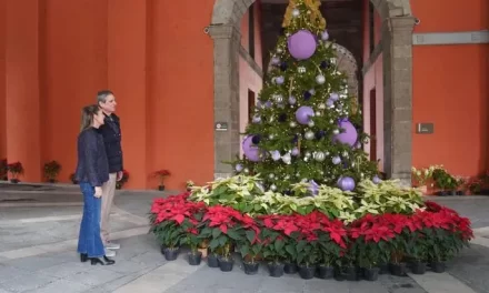 PRESIDENTA CLAUDIA SHEINBAUM DESEA UNA FELIZ NAVIDAD A TODAS Y TODOS LOS MEXICANOS