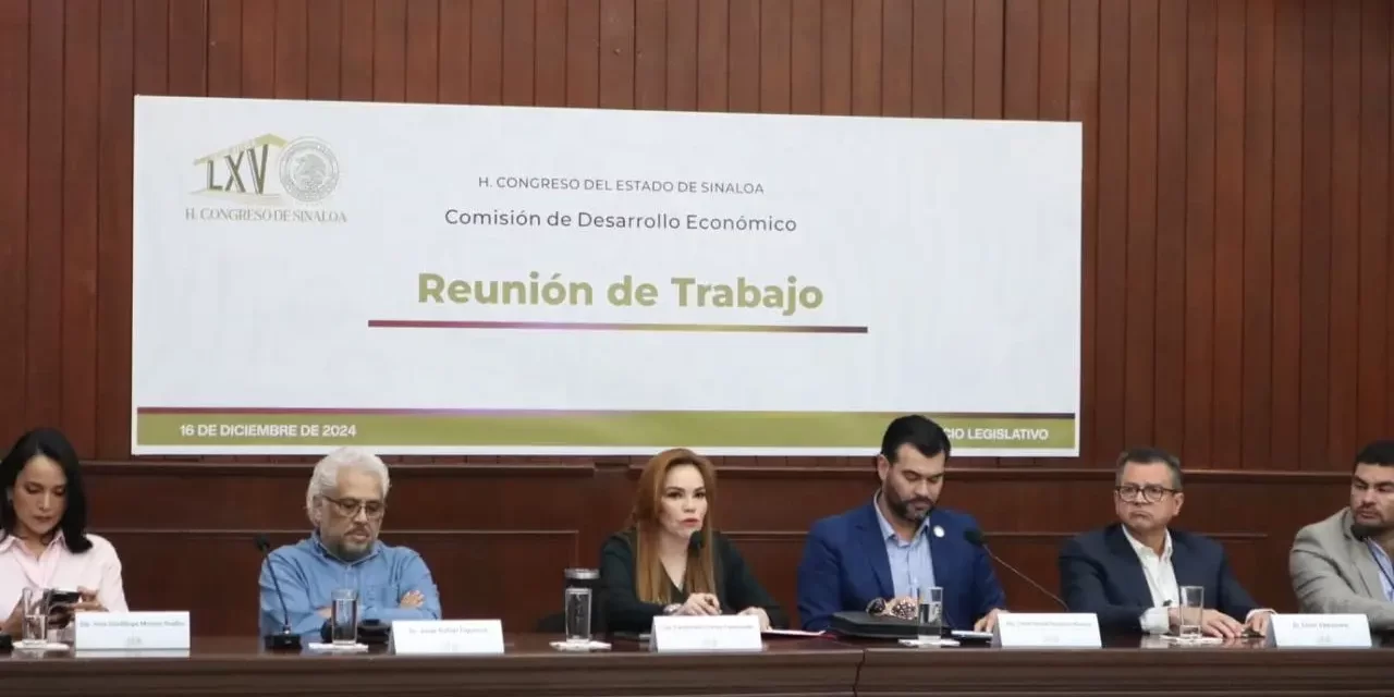 PREOCUPA LA SITUACIÓN ECONÓMICA EN SINALOA ANTE EL NULO INTERÉS DE MORENA POR APOYARLES: PAOLA GÁRATE