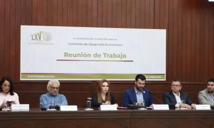 PREOCUPA LA SITUACIÓN ECONÓMICA EN SINALOA ANTE EL NULO INTERÉS DE MORENA POR APOYARLES: PAOLA GÁRATE