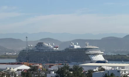 ARRIBA A MAZATLÁN CRUCERO DISCOVERY PRINCESS” POR TERCERA OCASIÓN EN LO QUE VA DE ENERO