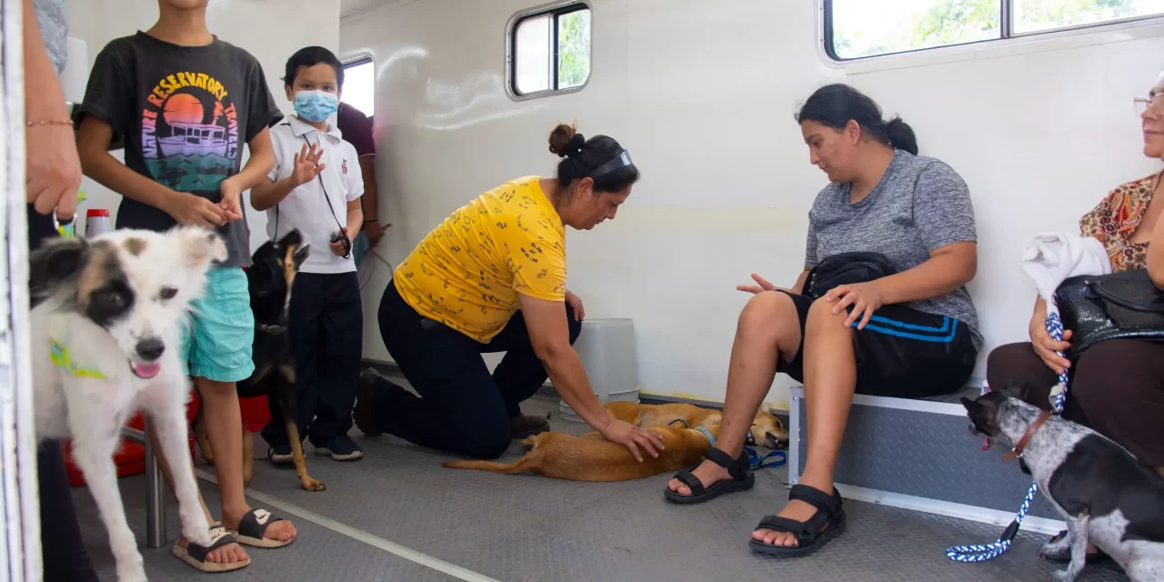 ¡ATENCIÓN, ALISTEN A SUS MASCOTAS! CAMPAÑA DE ESTERILIZACIÓN LLEGARÁ A LA COLONIA EL VALLADO