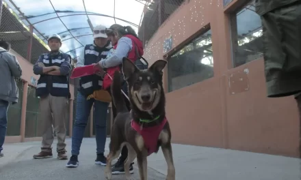 CON LA CAMPAÑA DE ADOPCIÓN, 7 MASCOTAS YA TIENEN UN NUEVO HOGAR