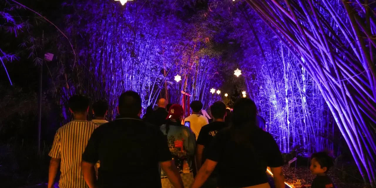 HACIENDO VOTOS POR LA RENOVACIÓN Y LA ESPERANZA, 60 MIL PERSONAS DISFRUTARON DE NAVIDAD EN EL BOTÁNICO 2024