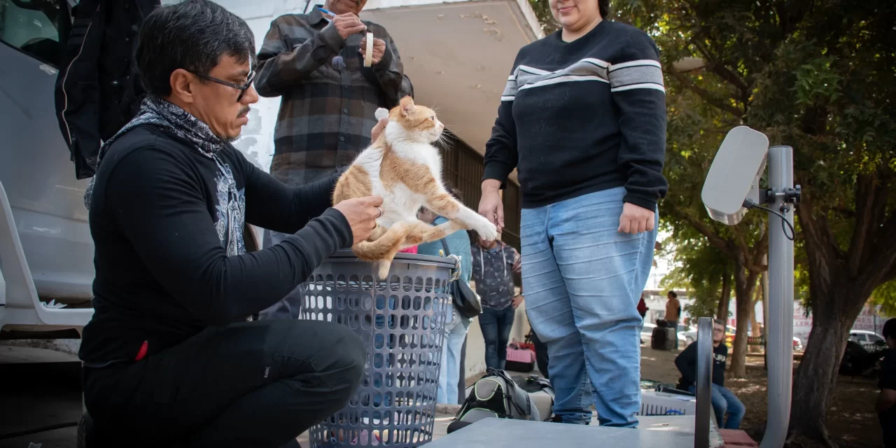 INICIA CAMPAÑA GRATUITA DE ESTERILIZACIÓN DE MASCOTAS EN LA COLONIA EL VALLADO