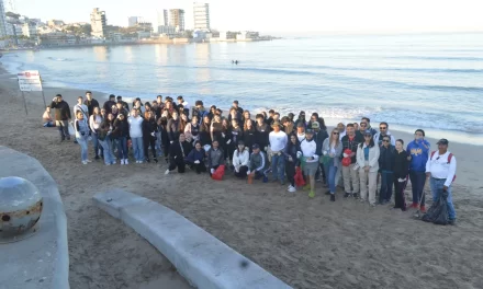 SANEAMIENTO DE PLAYA NORTE, COMPROMISO CON EL MEDIO AMBIENTE: OPERADORA DE PLAYAS