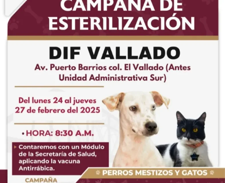 CAMPAÑA GRATUITA DE ESTERILIZACIÓN PARA PERROS Y GATOS EN DIF VALLADO