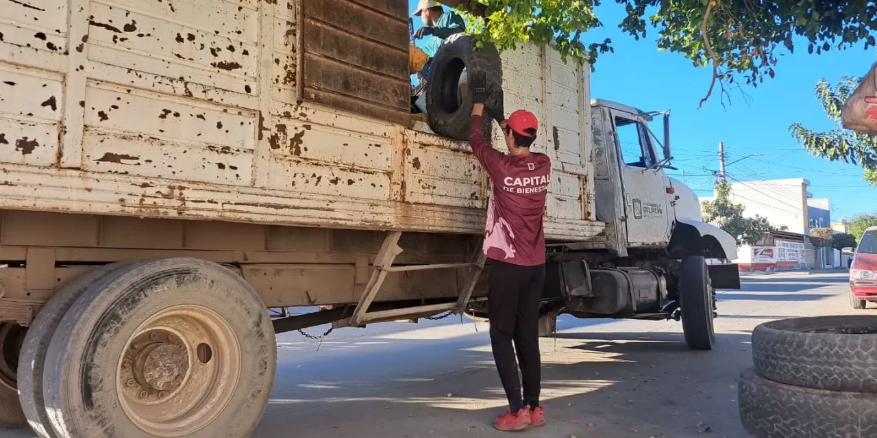 CONTINÚA LA CAMPAÑA DE DESCACHARRIZACIÓN EN CULIACÁN: AHORA EN LA COLONIA 21 DE MARZO